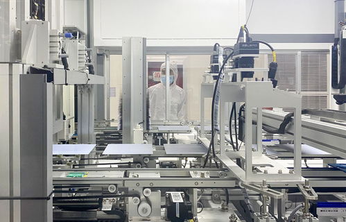 揚(yáng)州新質(zhì)生產(chǎn)力之 花 ,這樣絢麗綻放